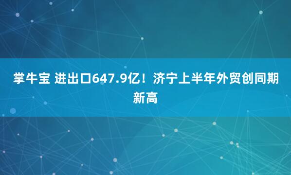 掌牛宝 进出口647.9亿！济宁上半年外贸创同期新高
