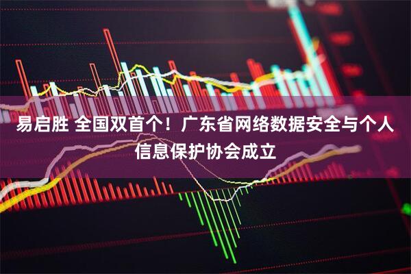 易启胜 全国双首个!广东省网络数据安全与个人信息保护协会成立